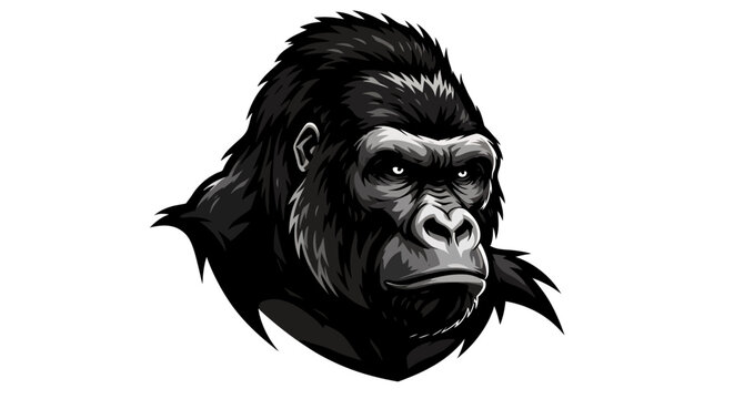 Detailed vector illustration of a monkey head, showcasing its strong features and intense gaze, ideal for logos, branding, and designs requiring a powerful animal symbol.