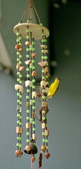A sunbird building a nest in a wind chime.