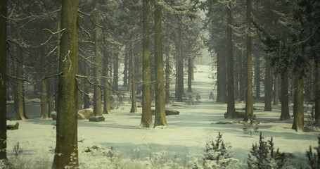 A serene winter landscape features tall evergreen trees blanketed in snow. The quiet surroundings evoke a peaceful ambiance, inviting exploration and reflection.