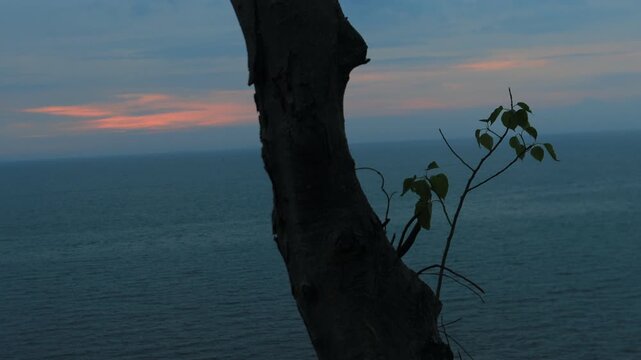 The video background depicts the waterfront, with twilight sky illuminating the riverside community and the lights from houses, reflecting the rural lifestyle of Chanthaburi, Thailand.
