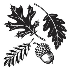 Autumn leaves and acorn silhouettes on white oak leaf © MST CHIN BANU BEGUM