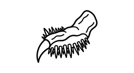 Dinosaur jawbone with sharp teeth © ShahinStock