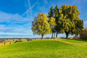 Scheidegger H&ouml;henweg im Herbst, Herbstwanderung im Allg&auml;u mit Aussichtspunkte
