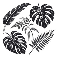 Obraz premium Black silhouettes of tropical leaves on a white background