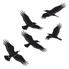 Obraz premium Black silhouettes of seven birds in flight flying white background