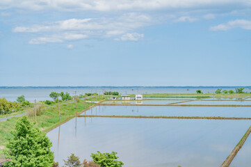 茨城　霞ヶ浦と田園風景（美浦村）