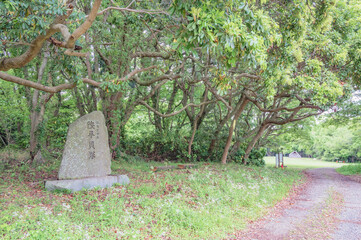 茨城　陸平貝塚