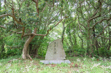 茨城　陸平貝塚