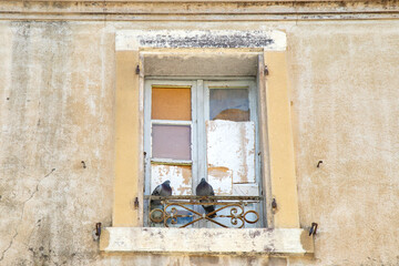 Little doves in a old windowsill in Irance in the Summer