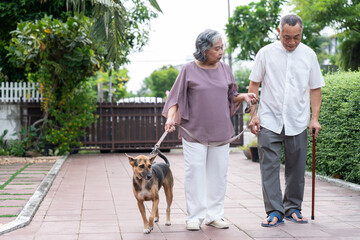Two older adults enjoy a peaceful walk with their dog in a lush, suburban outdoor setting. The scene reflects active aging, pet companionship, emotional bonding, and a mindful lifestyle surrounded