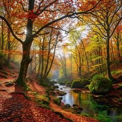 Autumnal Serenity - A Forest Stream in Vibrant Fall Colors.