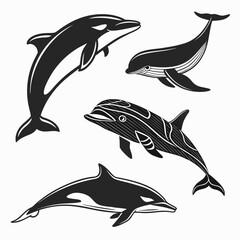 Four black whale and dolphin silhouettes on white background 1 ©  MST RABEYA  BEGUM