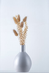 White vase with dried plants on white background.