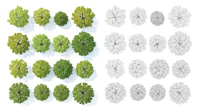 Set of realistic 3D render top view trees for architectural landscape design