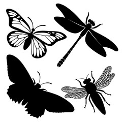 Four insect silhouettes on a white background butterfly