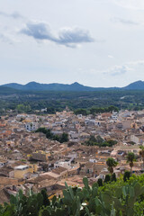 Fototapeta premium city of arta, artá with the mountains and cactus