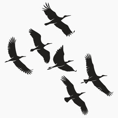 Seven black bird silhouettes in flight against white