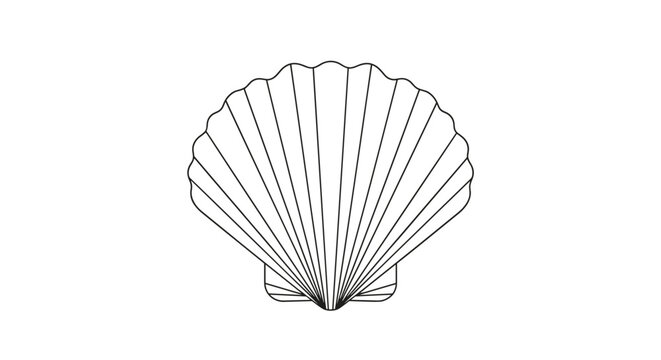 Simple and elegant line art illustration of a scallop seashell, representing the beach, ocean life, and summer vacation.