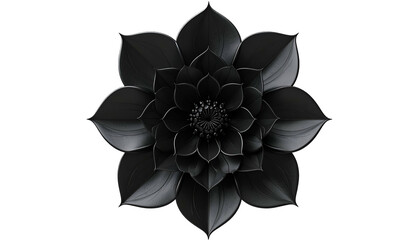 A stylized, all-black flower, symmetrical design, against a solid black background