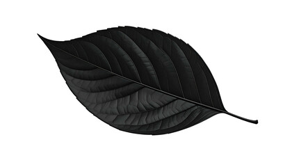 Single, textured leaf in shades of gray against a stark black background