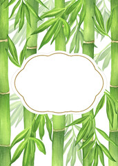 Obraz premium Pre-made postcard with green bamboo stems and leaves on background and copy space for text. Chinese Japanese garden clipart. Hand-drawn watercolor illustration for Asian-themed design, postcard