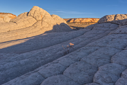 Dramatic sandstone rock Formations at White Pocket, Paria Plateau, Vermilion Cliffs National Monument, Arizona, USA