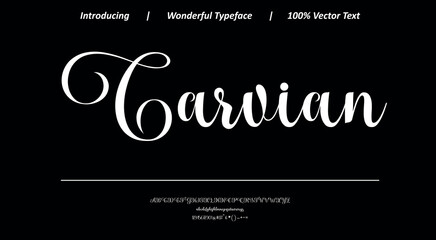 Artistic handwritten script with soft rhythm and elegant flow, designed for creative branding, packaging, and expressive typography layouts. © Vector Hall