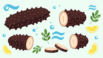 Freshly Cut Yacon Root with Lemon and Green Leaves Illustration