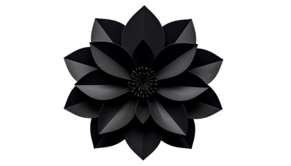 A paper-like black flower with layered petals, centered on a stark black backdrop