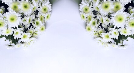 Festive bouquet with white chrysanthemums on a white background with a place for text. Background for congratulations, invitations.	