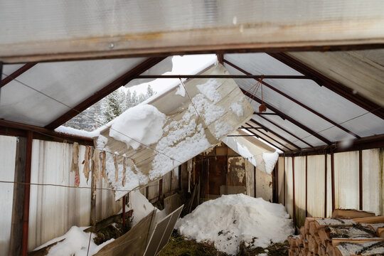 Damaged greenhouse roof collapsed under heavy snow load. Winter impact on agriculture building. Scene of natural disaster.