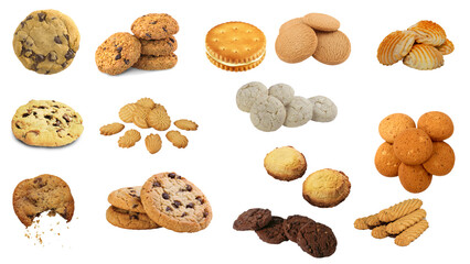 collection of nuts. PNG