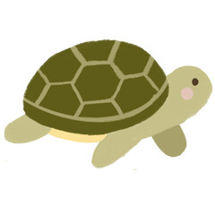 turtle