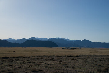Naklejka premium Panorama view of the mountains