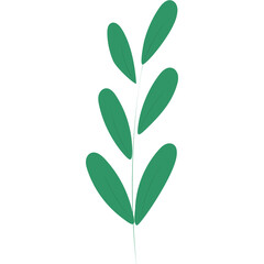 Minimal green leaf branch illustration for Christmas and winter decoration themes, perfect for natural festive designs.
