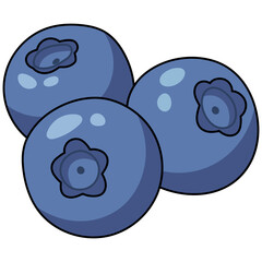 Illustration of Three Blueberries