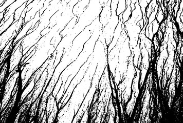 Abstract Black Background With Subtle Texture And Light Glow