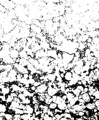 Silhouette of a dog looking out a window at night