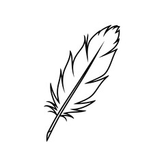 Obraz premium Elegant Black Outline Feather Drawing. Minimalist Line Art Illustration of a Single Bird Feather on a White Background.
