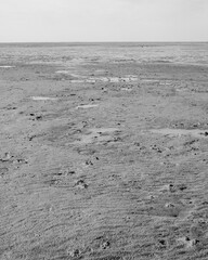 Vast, barren landscape showcases texture and patterns of dry earth during low tide in a coastal area
