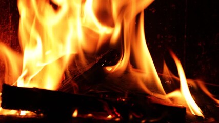 burning wood video 4k