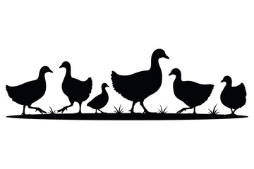 Obraz premium Classic black silhouette illustration of a diverse group of domestic fowl, including ducks, chickens, and chicks, walking across a grassy line, perfect for farm-themed designs