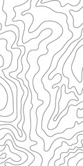 Topo black lines, vertical vector map
