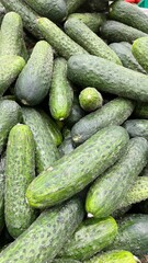 Fresh green cucumbers piled as organic vegetable background, ripe farm harvest texture for healthy nutrition concepts