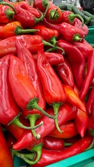 Fresh red sweet peppers piled together as organic vegetable background, ripe capsicum harvest for healthy cooking concepts