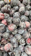 Fresh ripe plums with natural bloom as organic fruit background, seasonal harvest texture for healthy food and agriculture concepts