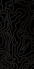 Gold topography lines flow across mountain peaks, creating luxurious art with Japanese-inspired contours and elegant design on black background. Vertical vector pattern.