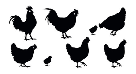 Obraz premium Illustrative vector set showcasing various duck silhouettes, depicting waterfowl in different poses on water and dry land, perfect for wildlife and avian designs and concepts