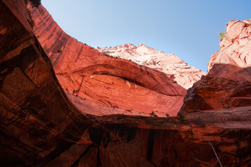 Zion National Park Utah