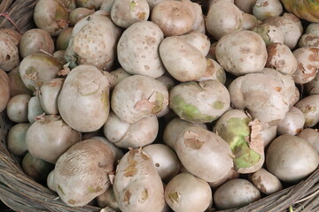 Dioscorea bulbifera on shop for sell